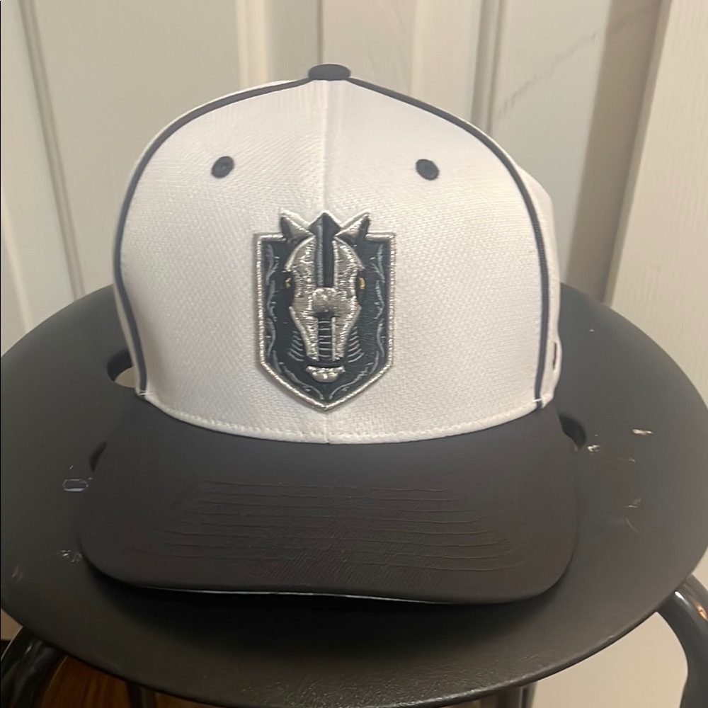 NHL ball cap